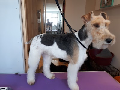 Grooming Van Image