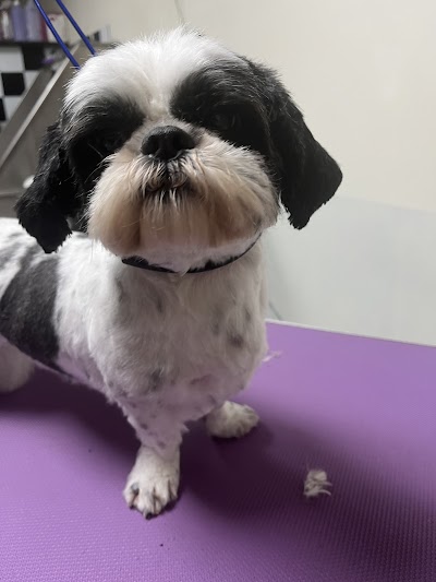 Grooming Van Image
