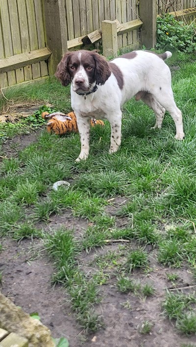 Grooming Van Image