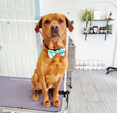 Grooming Van Image