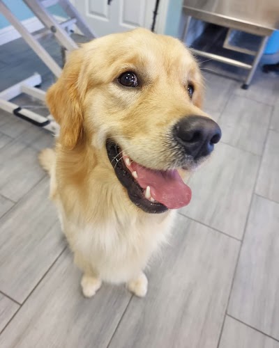 Grooming Van Image