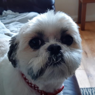 Grooming Van Image