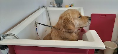 Grooming Van Image