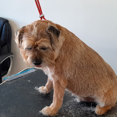 Grooming Van Image