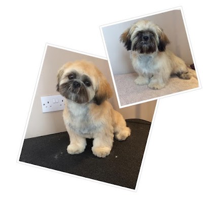 Grooming Van Image