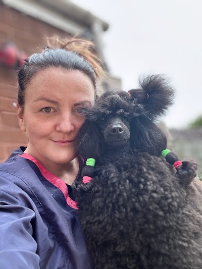 Cuddly Cuts Dog Grooming