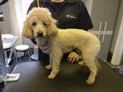 Grooming Van Image