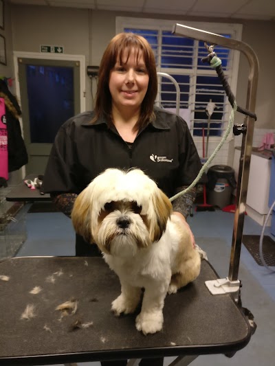 Grooming Van Image