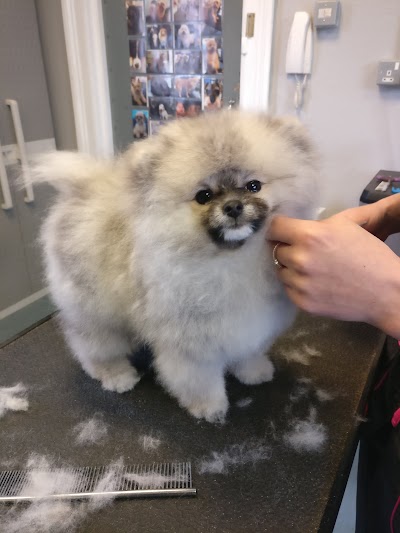 Grooming Van Image
