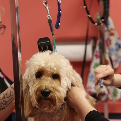 Grooming Van Image