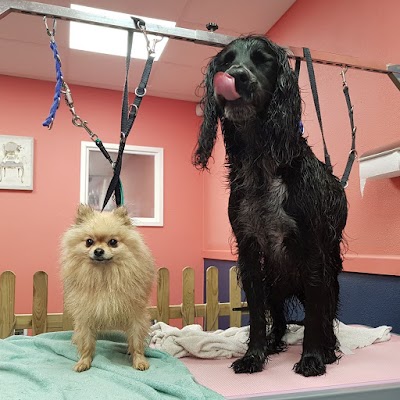 Grooming Van Image
