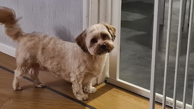 Grooming Van Image