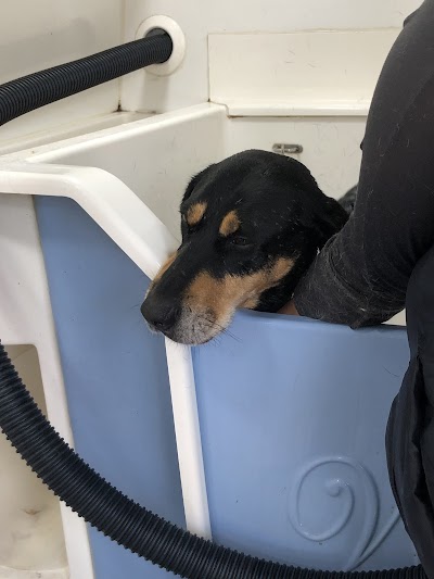 Grooming Van Image
