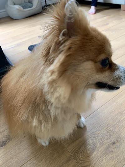 Grooming Van Image