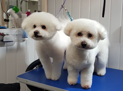Grooming Van Image