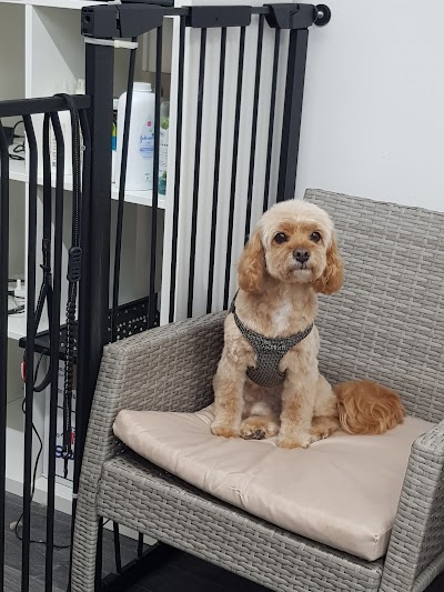 Grooming Van Image