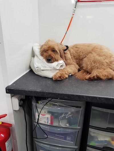 Grooming Van Image