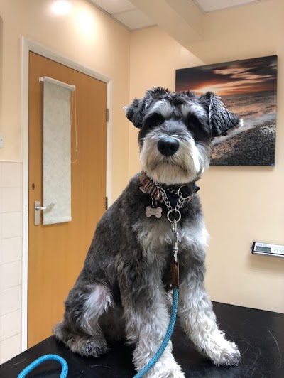 Grooming Van Image