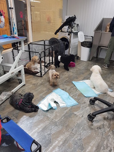 Grooming Van Image