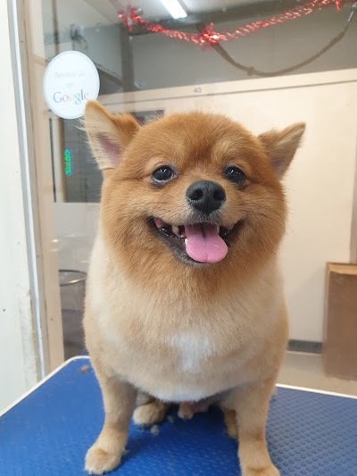 Grooming Van Image