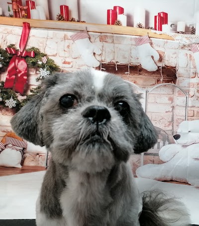 Grooming Van Image
