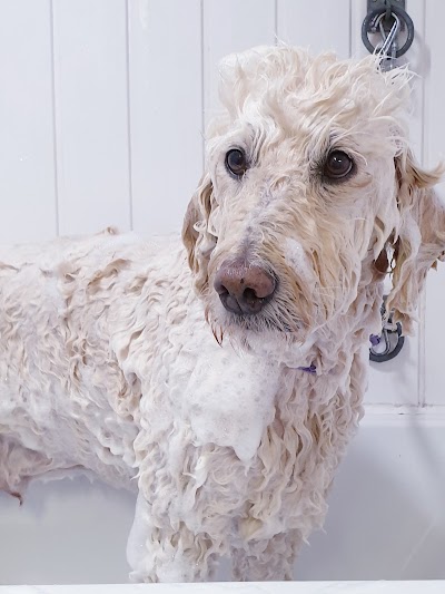 Grooming Van Image