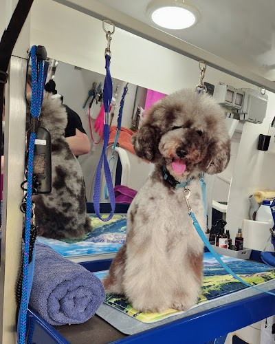 Grooming Van Image