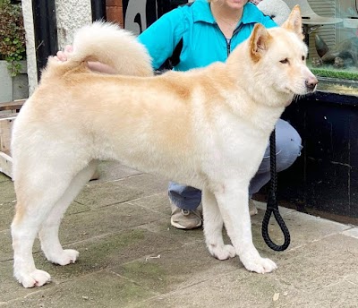 Grooming Van Image