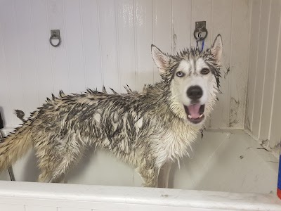 Grooming Van Image