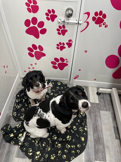 Grooming Van Image