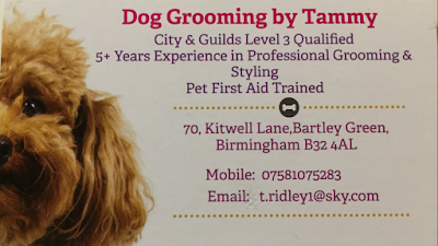 Dog Grooming by Tammy