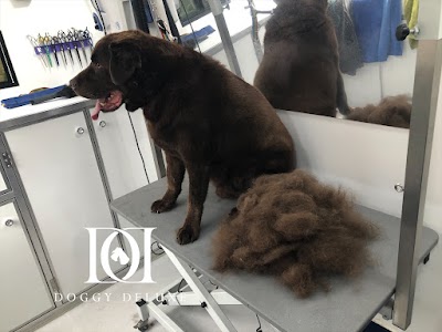 Grooming Van Image