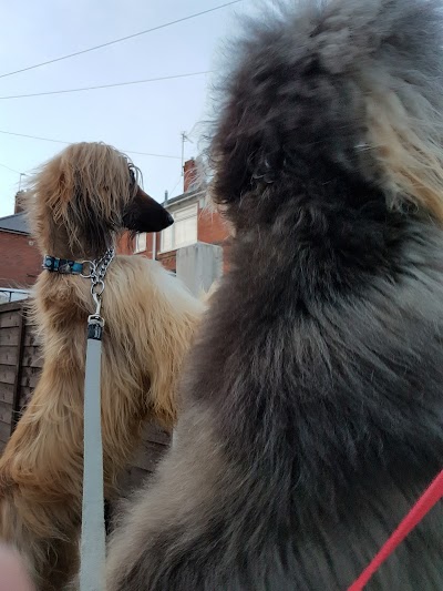 Grooming Van Image