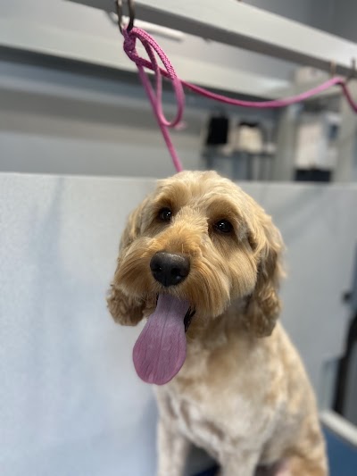 Grooming Van Image