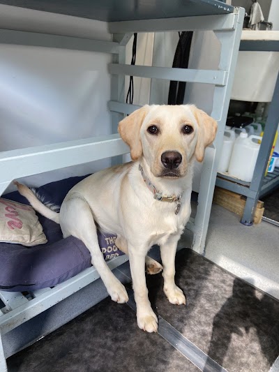 Grooming Van Image