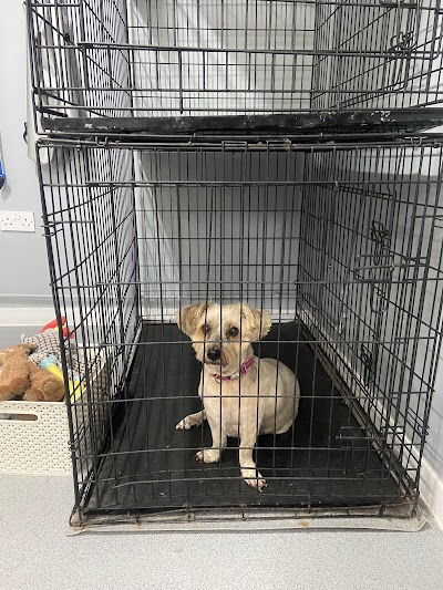 Grooming Van Image