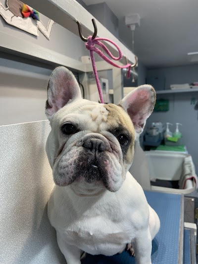 Grooming Van Image