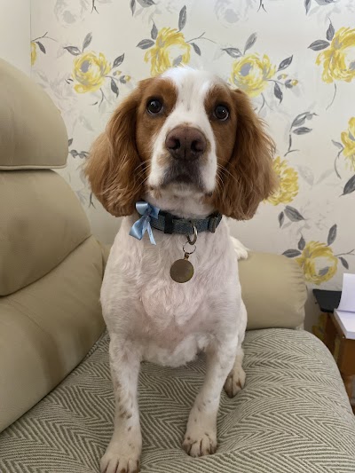 Grooming Van Image