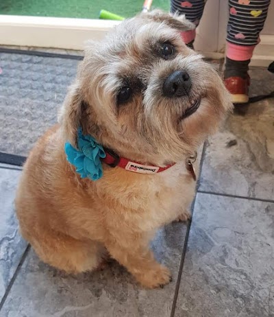 Grooming Van Image