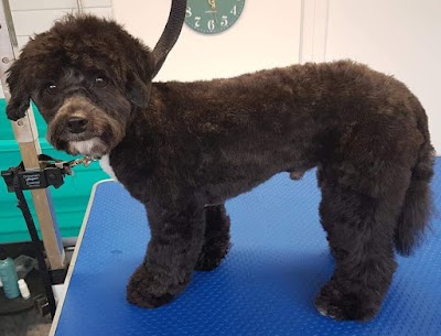 Grooming Van Image