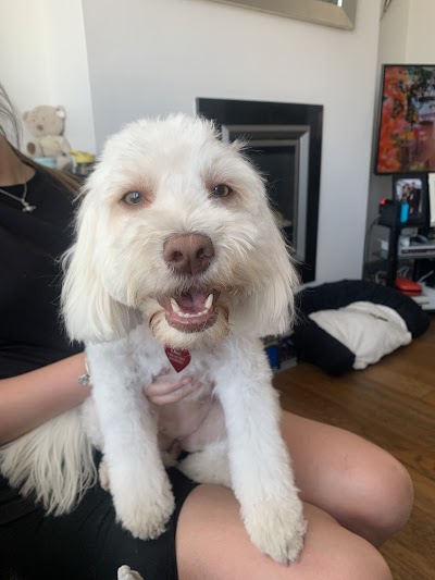 Grooming Van Image