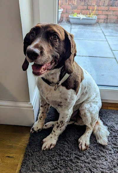Grooming Van Image