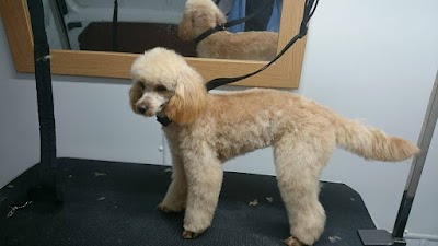 Grooming Van Image