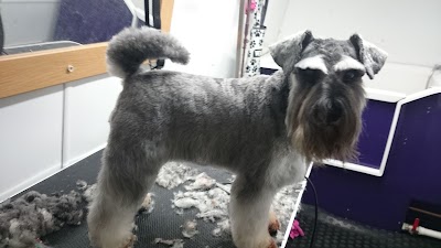 Grooming Van Image