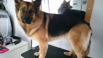 Grooming Van Image