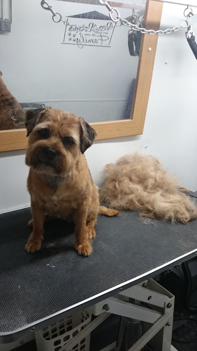 Grooming Van Image