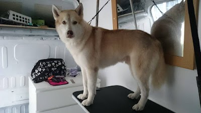 Grooming Van Image