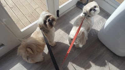 Grooming Van Image