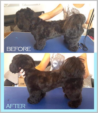 Grooming Van Image