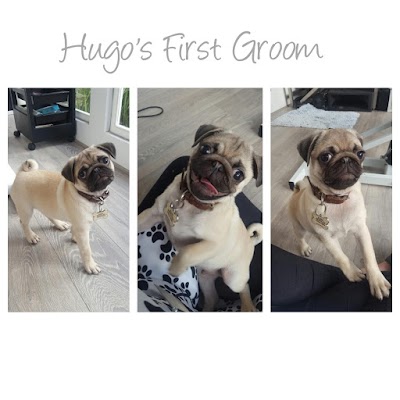 Grooming Van Image